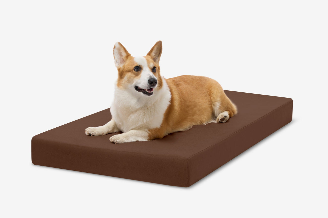 OrthoLift Crate Bed Big Barker – Barker Beds - Main Image