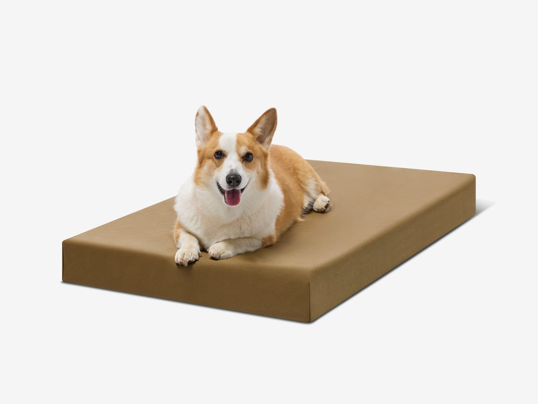 OrthoLift Crate Bed