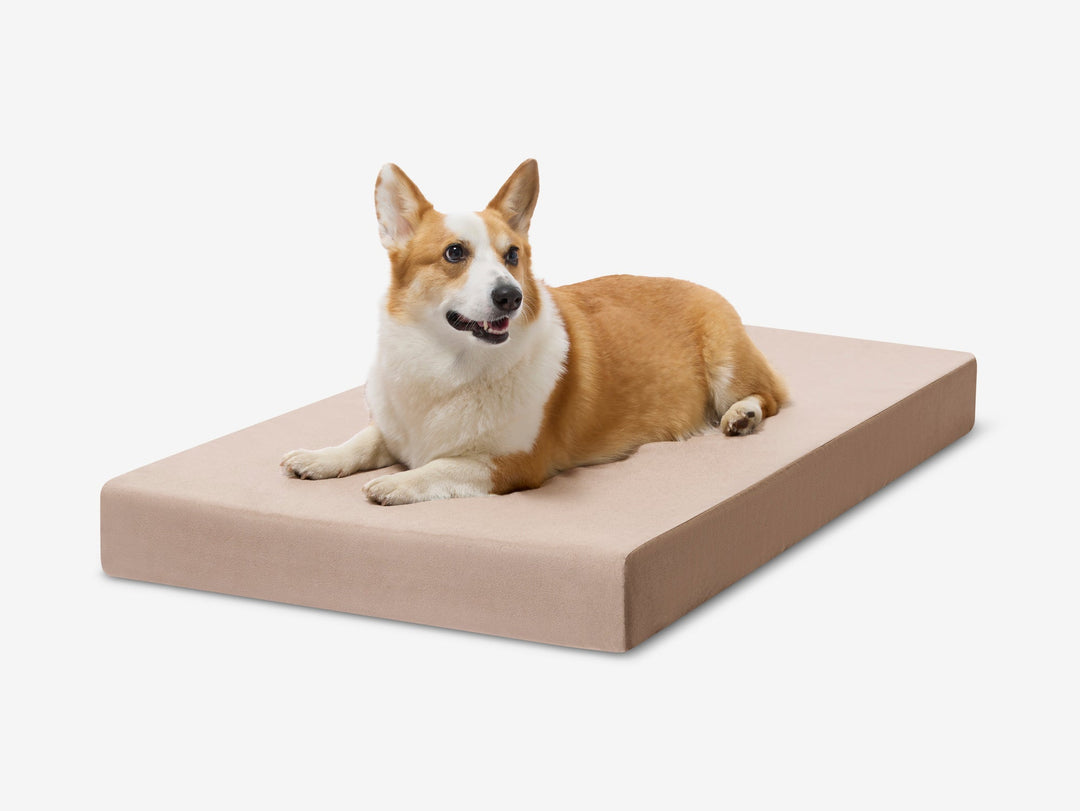 OrthoLift Crate Bed