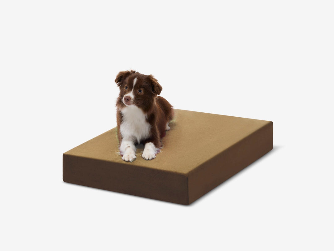 OrthoLift Crate Bed