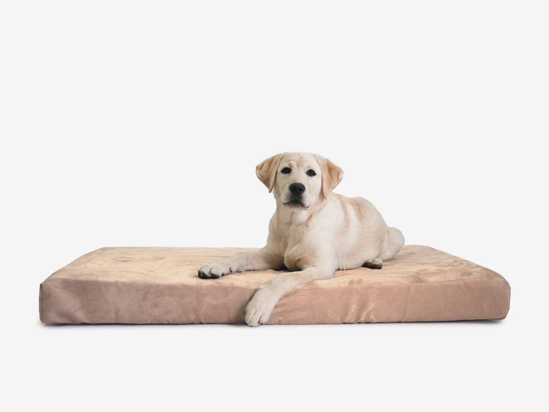 OrthoLift Crate Bed