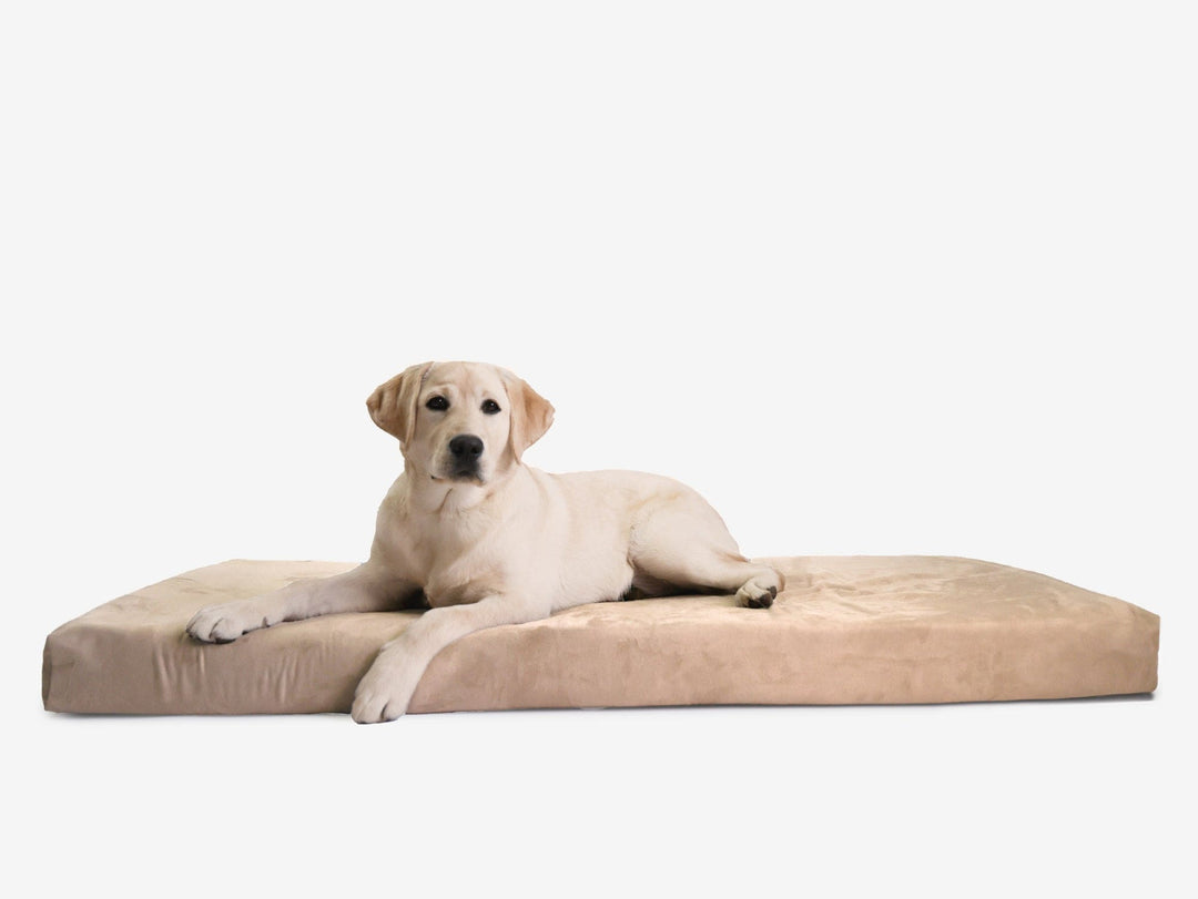 OrthoLift Crate Bed