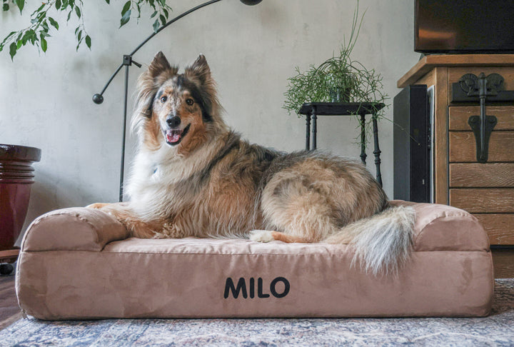 Item Personalization