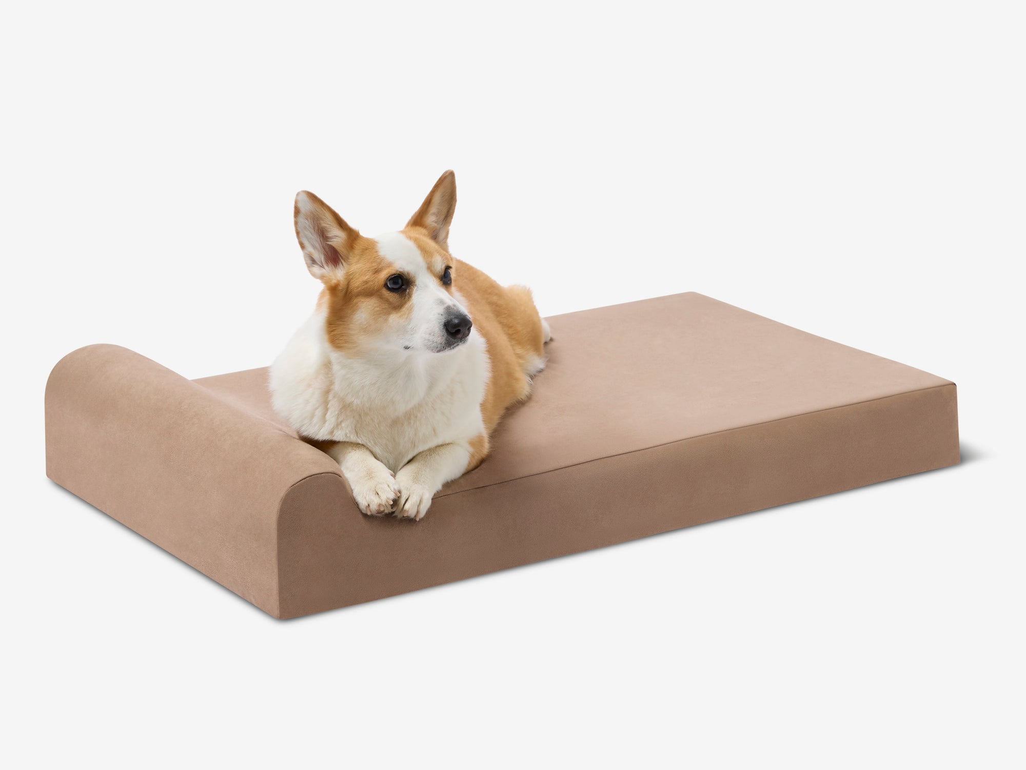 Junior Orthopedic Dog Bed, Khaki, Large