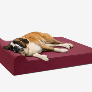Original Orthopedic Dog Bed