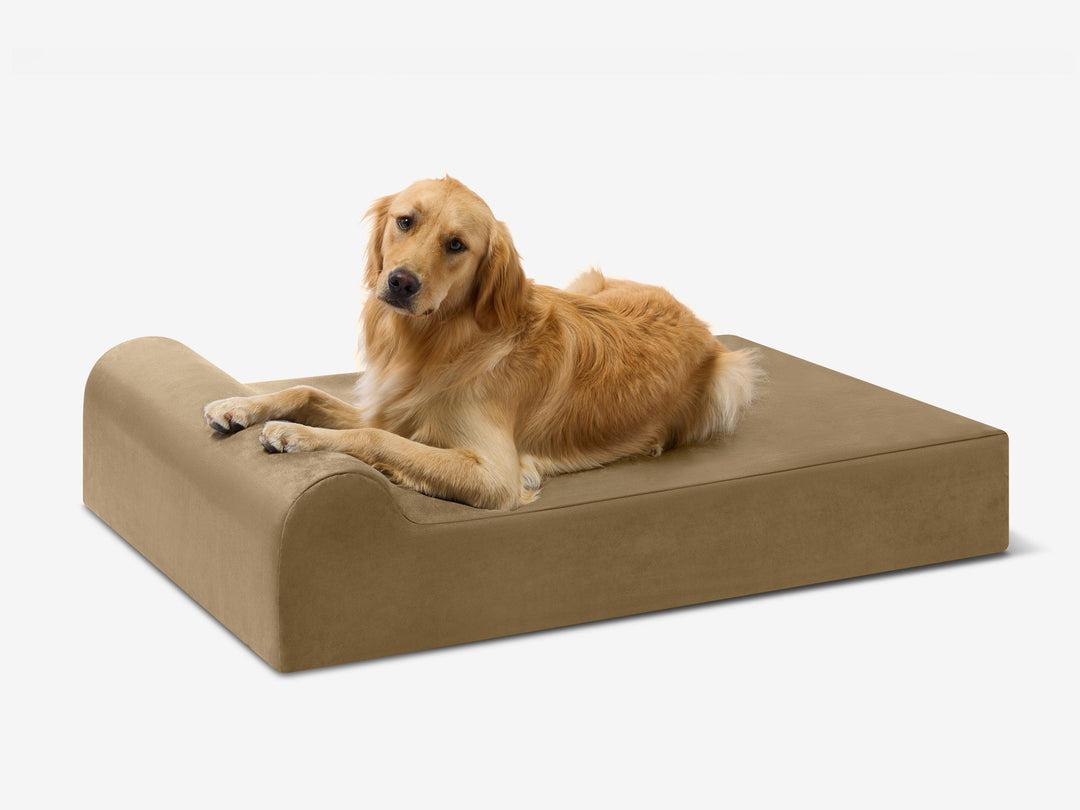 Original Orthopedic Cordura Dog Bed