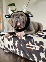 option1:*|option2:cow-print|option3:*
