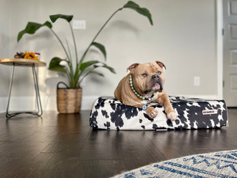 option1:*|option2:cow-print|option3:*