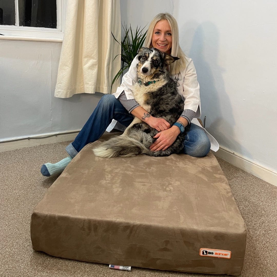 Dr. Hannah Capon with her dog on a khaki Big Barker bed 