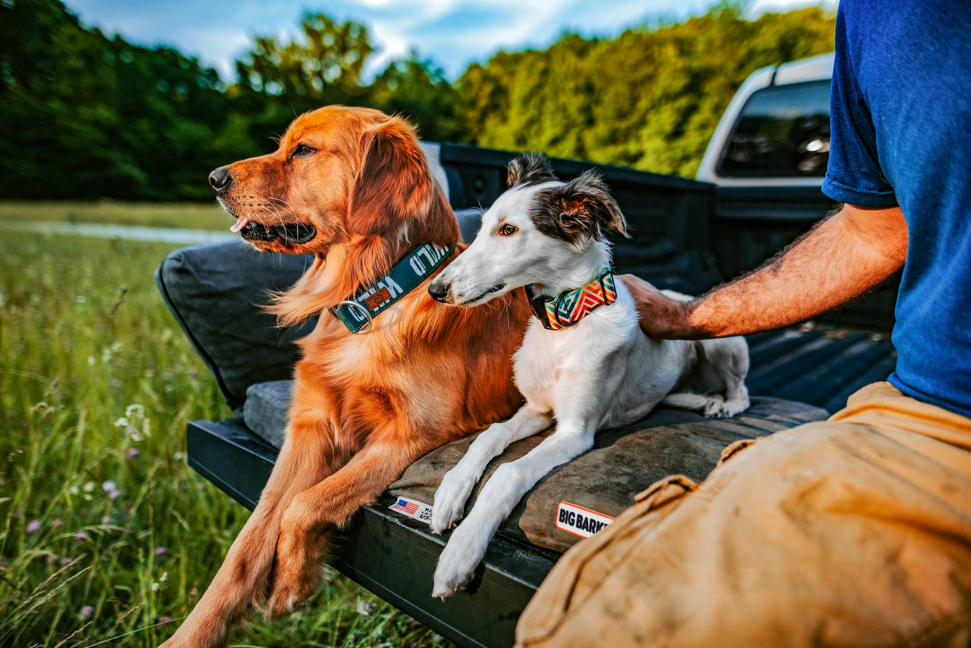 Orthopedic Dog Beds for Large Extra Large Dogs Big Barker