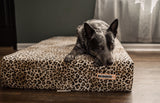 option1:*|option2:cheetah|option3:*