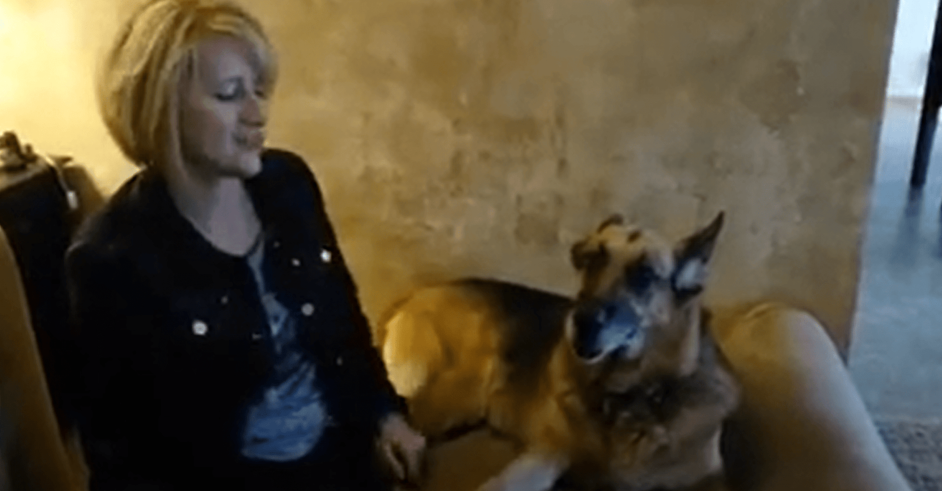 Big best sale barker reviews