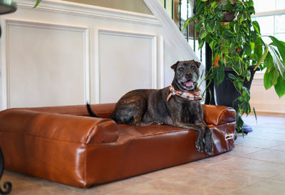 Leather dog bed best sale