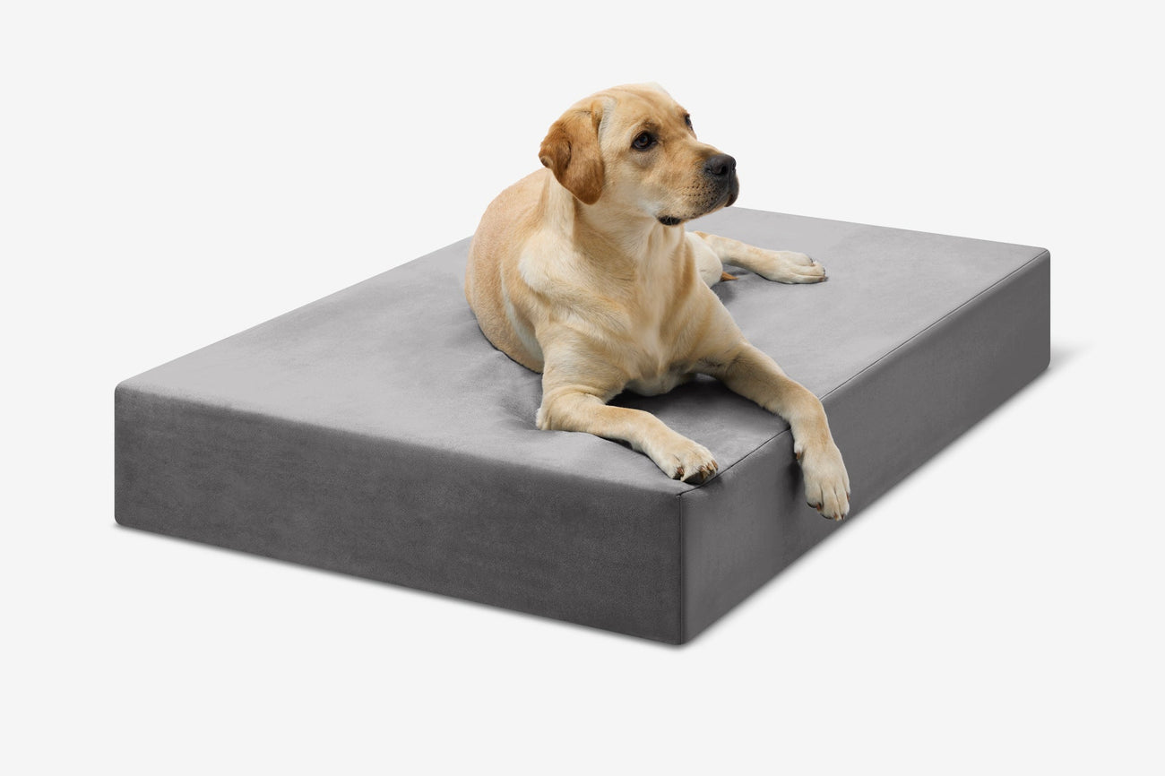 Original Orthopedic Dog Bed Barker Beds - Main Image
