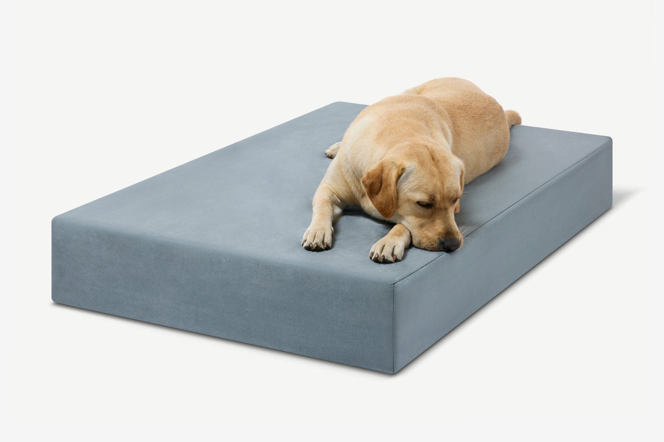 Replacement Cover for Big Barker Original Bed – Barker Beds