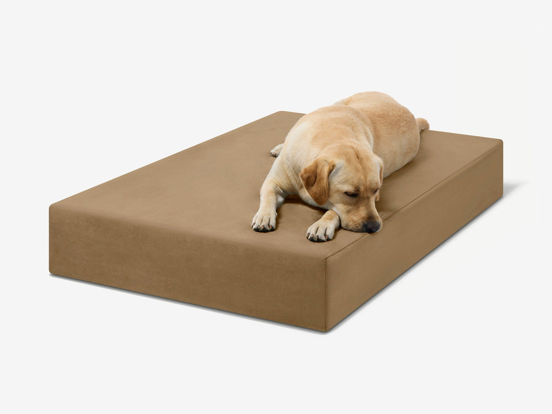 Original Orthopedic Cordura Dog Bed
