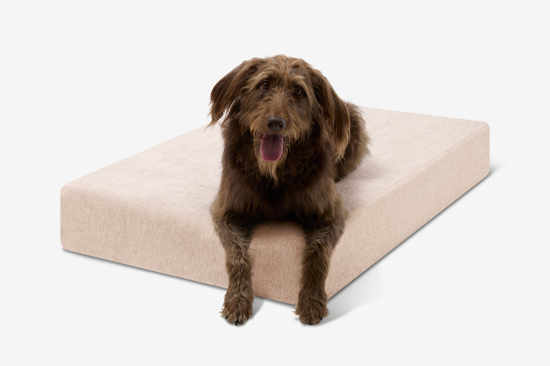 Big Barker Orthopedic Dog Bed