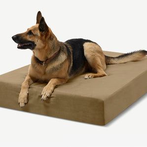 Original Orthopedic Cordura Dog Bed
