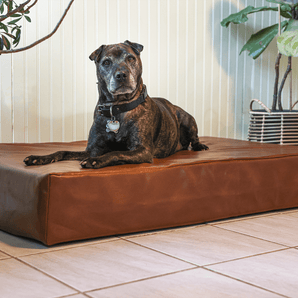 Orthopedic Leatherette Bed