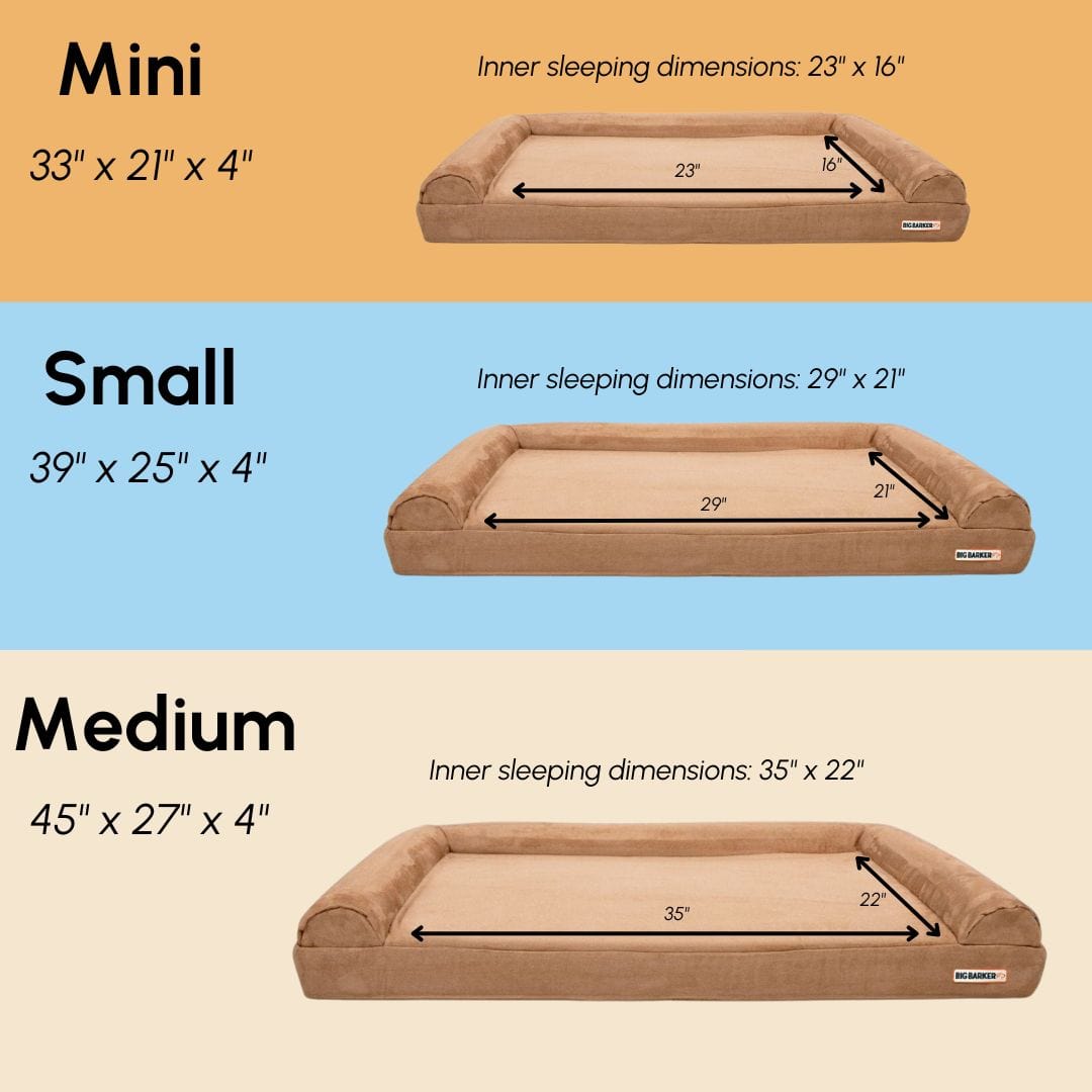 4" Orthopedic Sofa Bed Big Barker