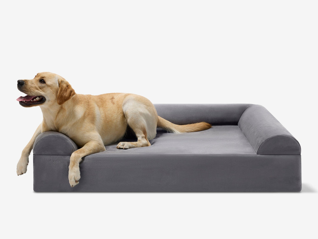 Original Orthopedic Dog Bed