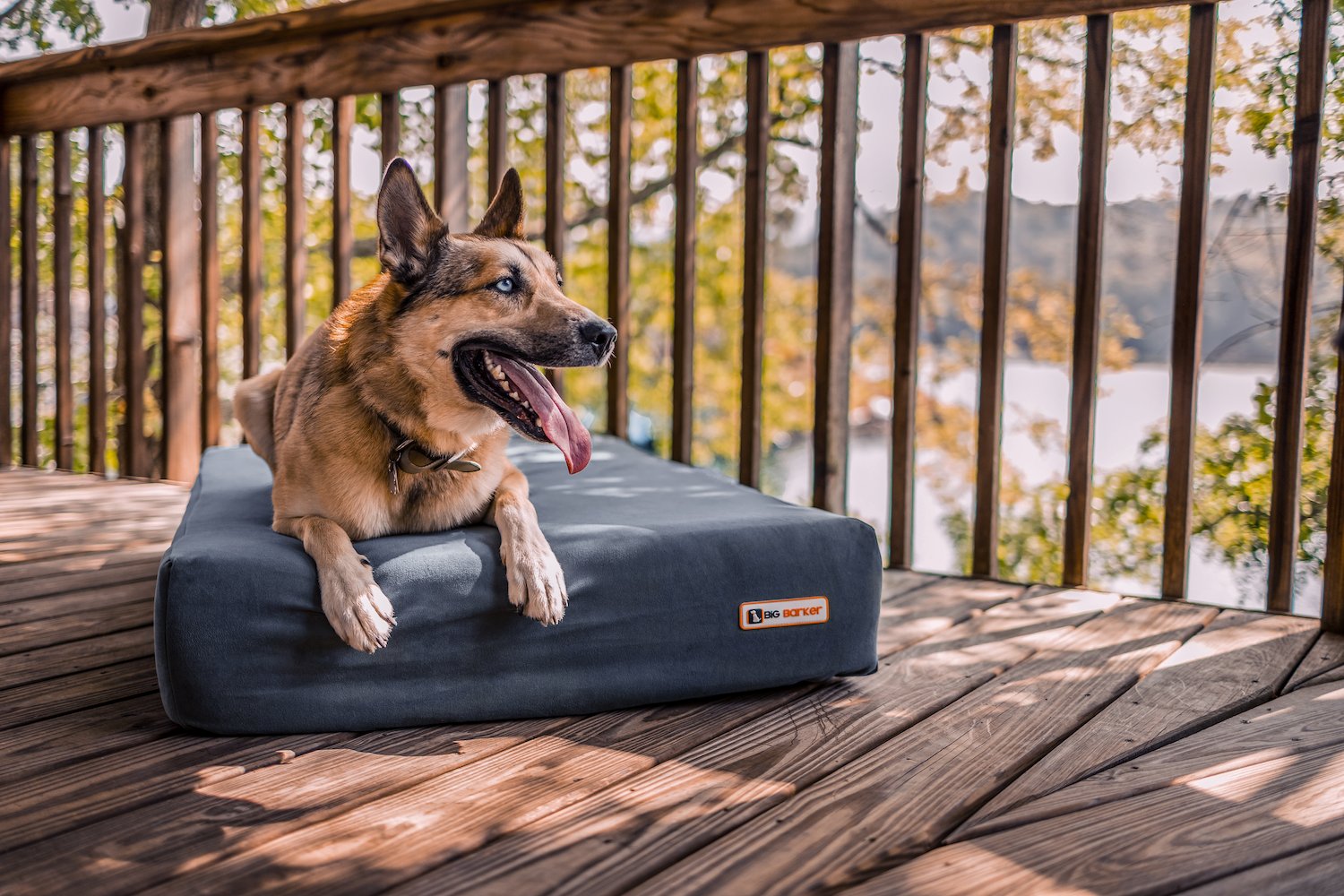 Orthopedic Dog Beds For Large Extra Large Dogs Big Barker 44 OFF