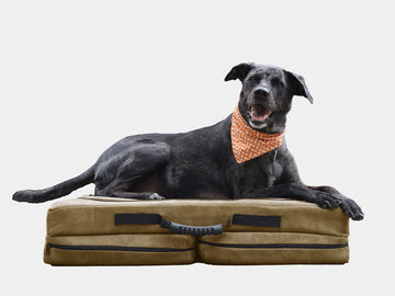 Fold-N-Go Travel Dog Bed - Large / Cordura
