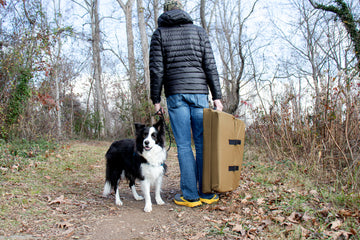 Fold-N-Go Travel Dog Bed - Medium / Cordura