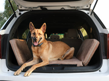 Fold-N-Go Travel Dog Bed - Medium / Khaki