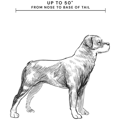 For dogs up to 50" from nose to base of tail