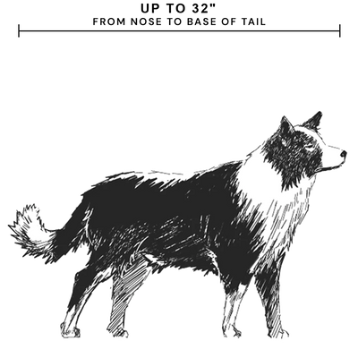 For dogs up to 32" from nose to base of tail