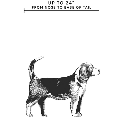 Medium Crate Bed Dog Example