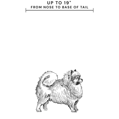 Small Crate Bed Dog Example