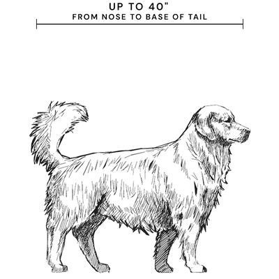 For dogs up to 40" from nose to base of tail