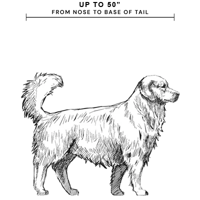 For dogs up to 50" from nose to base of tail