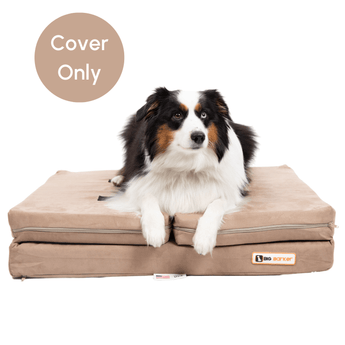 Animal How To Make Your Dog Sleep On His Bed Crate Training How To