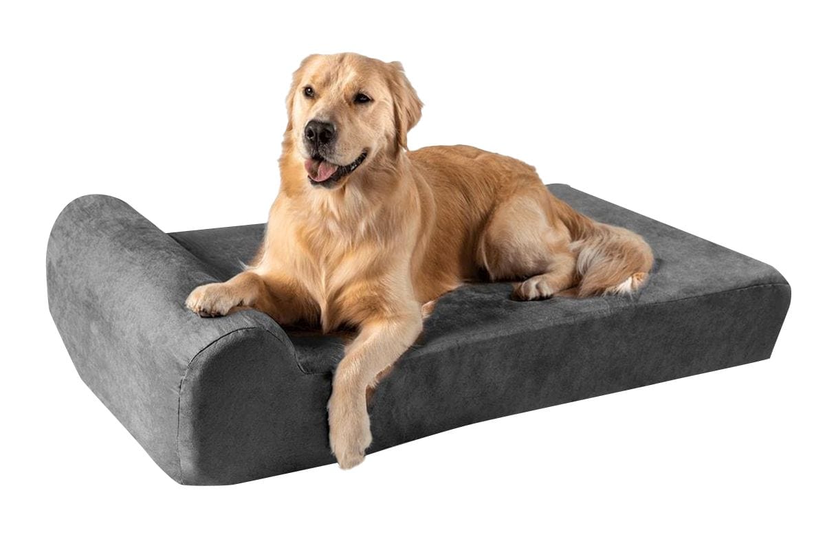 Best orthopedic bed for older dogs best sale