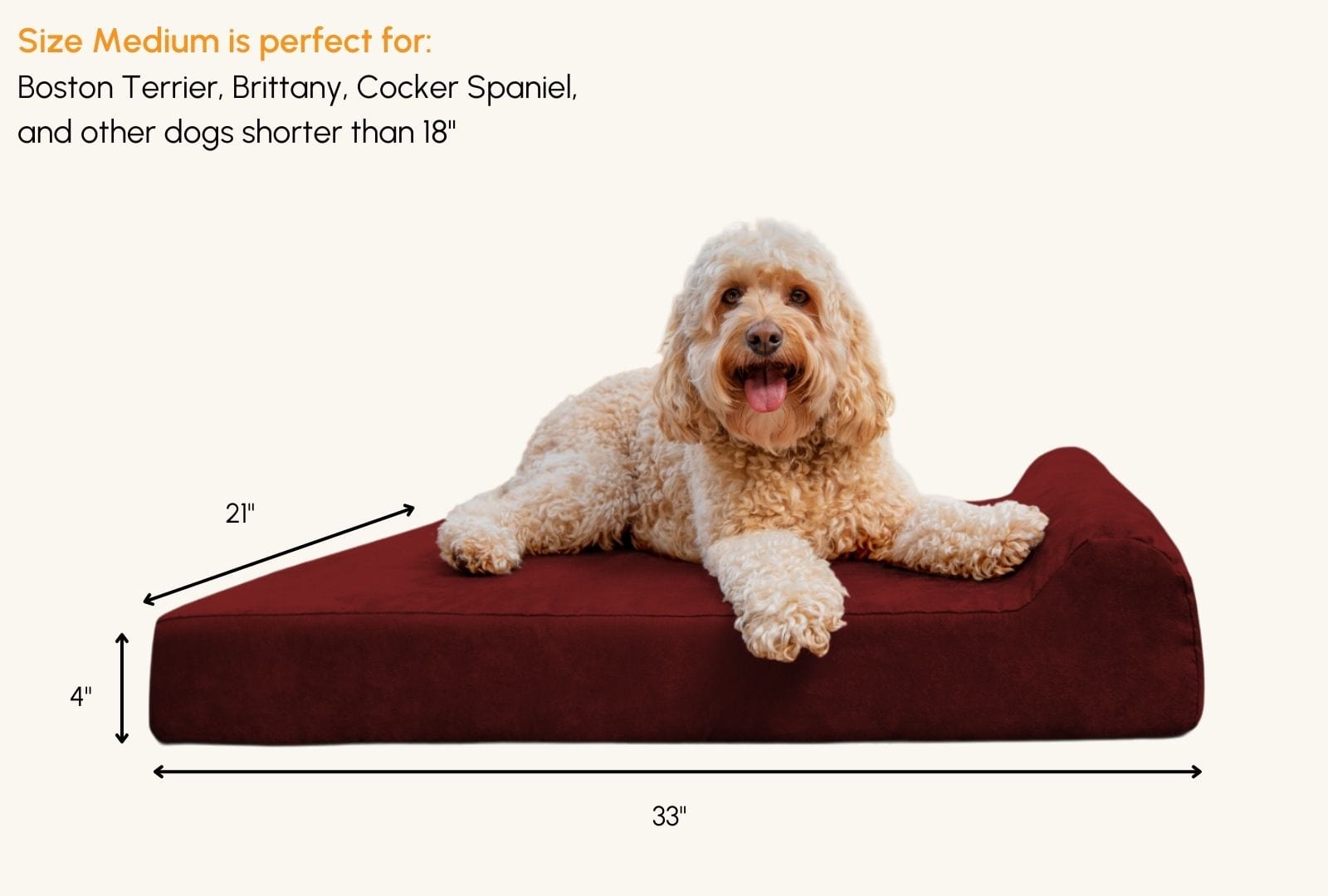 Barker Junior Orthopedic Small to Medium Dog Bed Big Barker