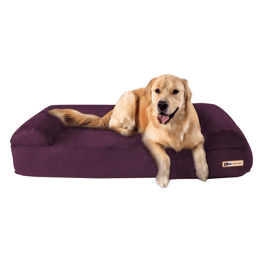 Sofa Edition | Royal Purple