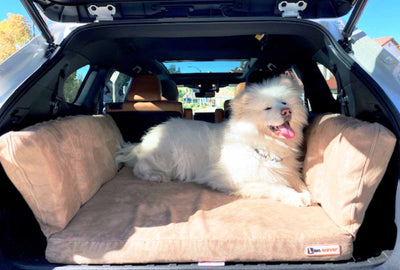 Backseat Barker: SUV Edition