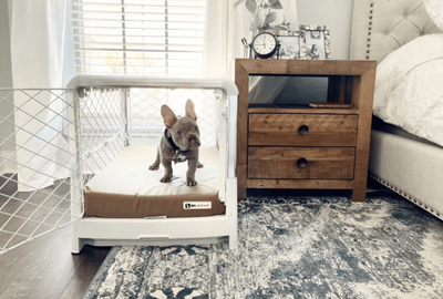 Orthopedic dog crate hot sale beds